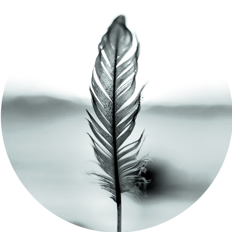 circle_feather_tint